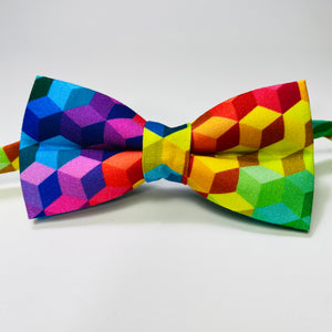 
                  
                    Rainbow Geometric Print Bow Tie
                  
                