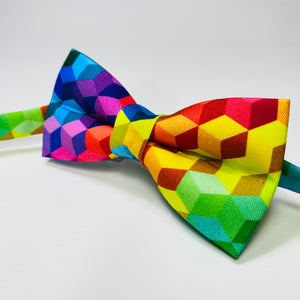 
                  
                    Rainbow Geometric Print Bow Tie
                  
                